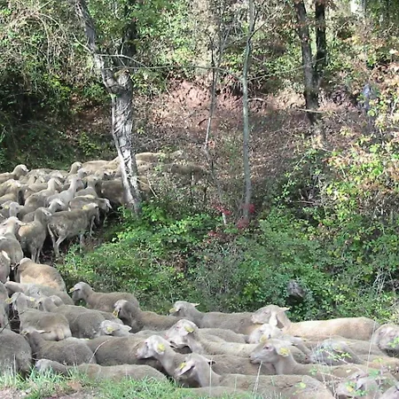 Le De Saint Izaire Nyaraló Broquiès